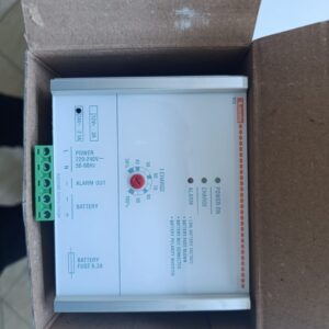 automatic battery charger